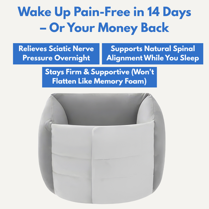 ALZORE ALIGN+ SPINAL RELIEF PILLOW